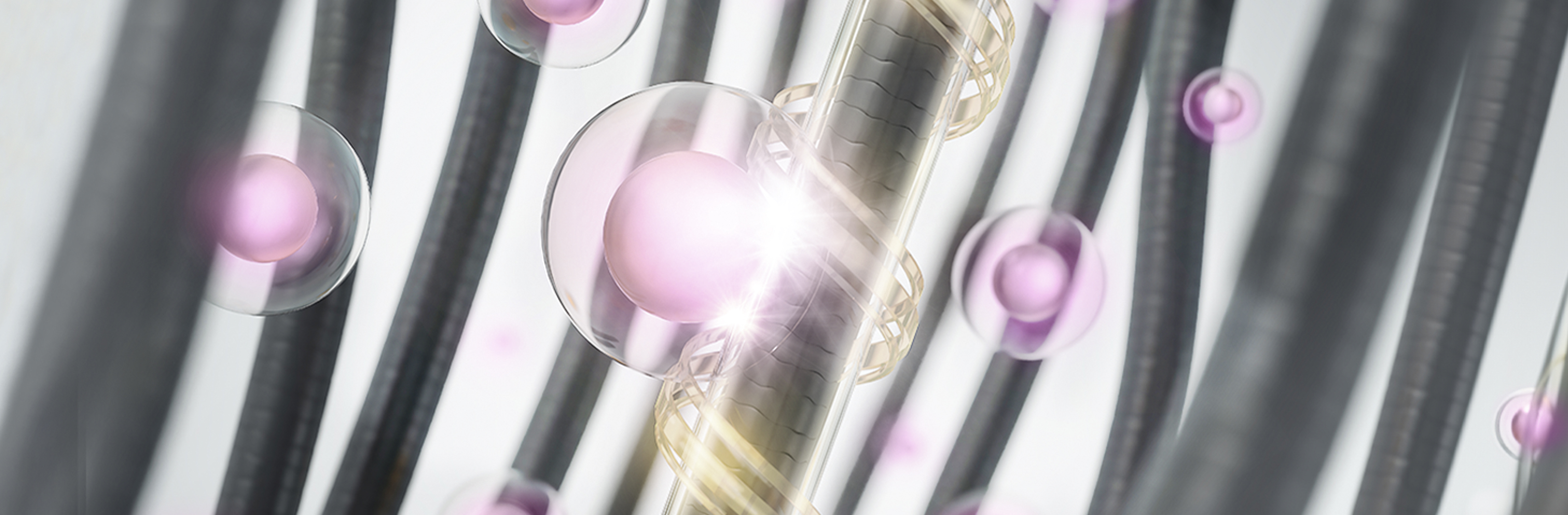 Product Banner Single